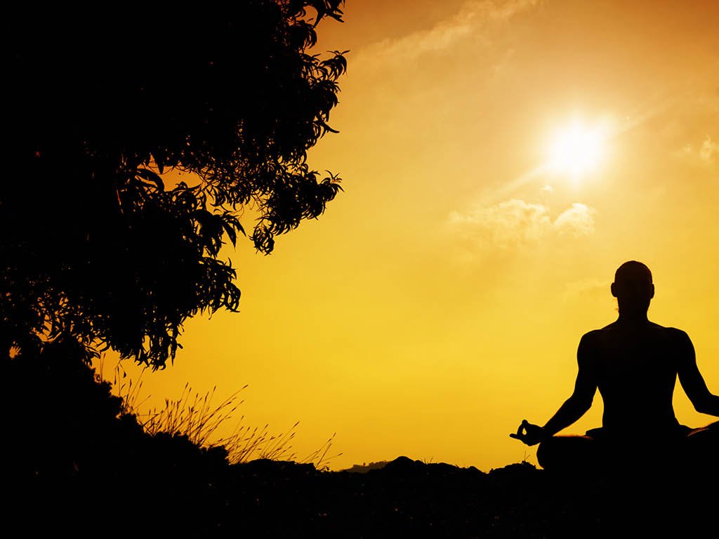 Man silhouette in Yoga meditation pose near the tree at sunset in Gokarna  Karnataka  India